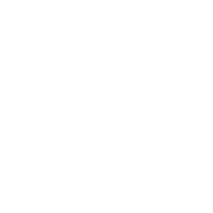 Auriga - The Portal